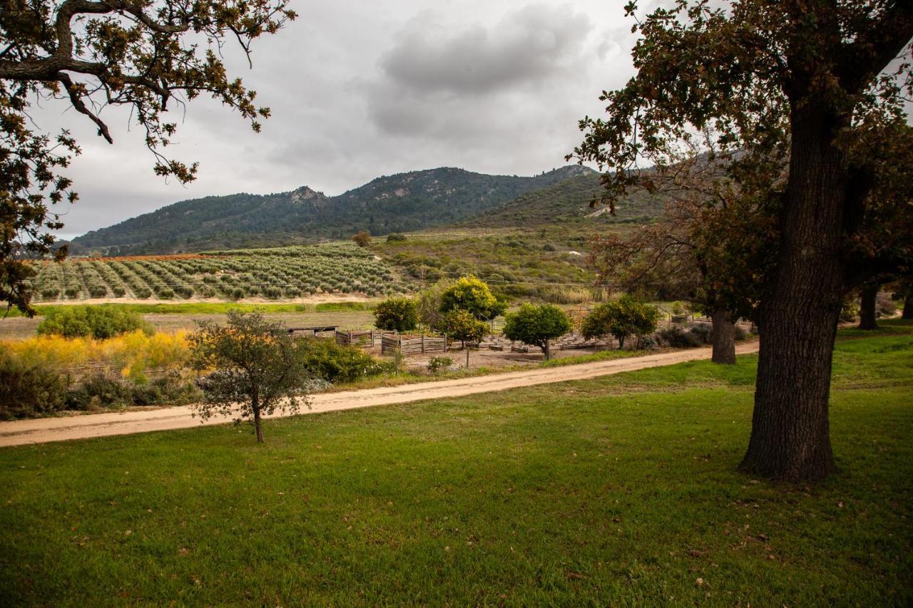 Bed and Breakfast Ayama Wine Farm - Manor House Wellington Exterior foto